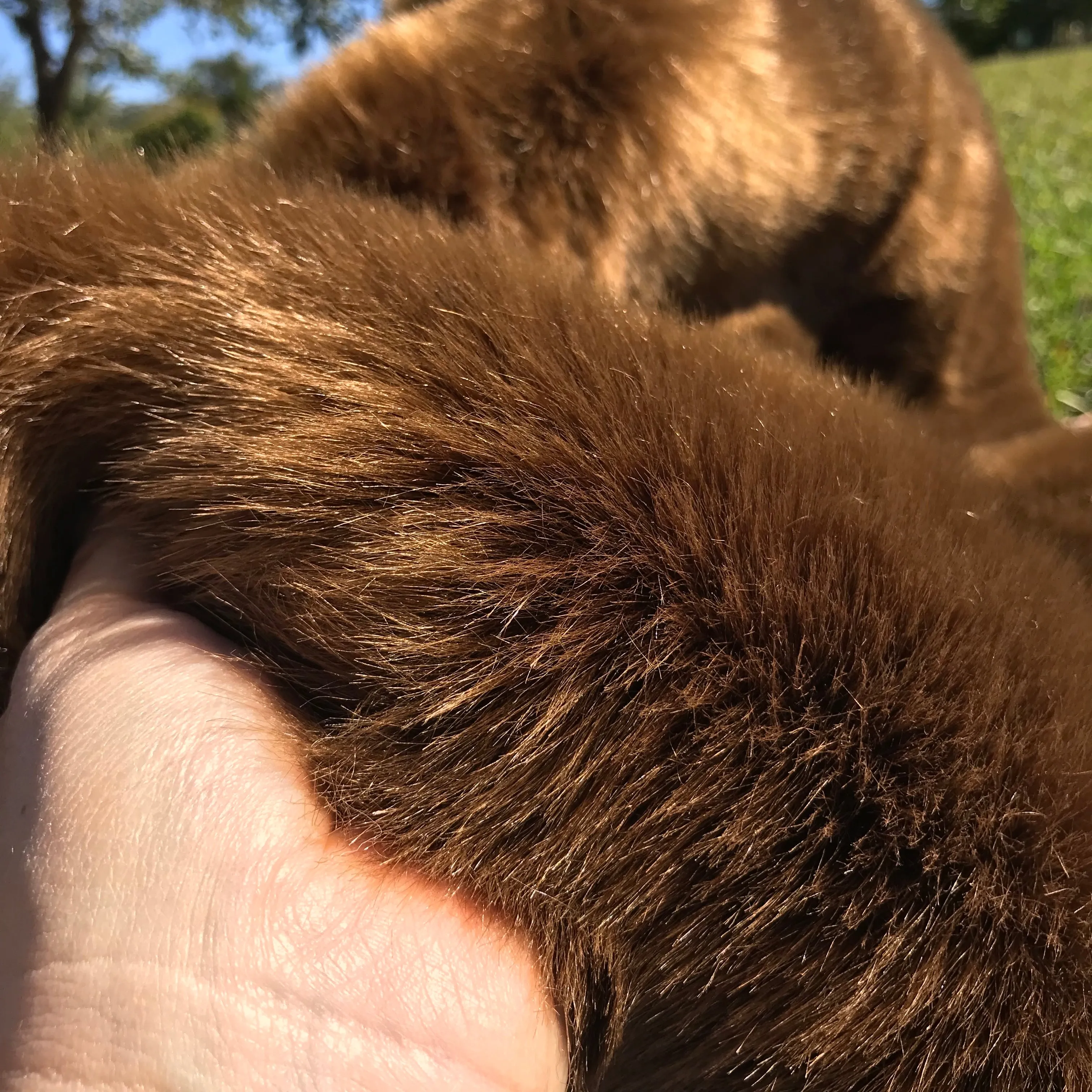 SALE - Woodlands Brown Faux Fur - odd sizes