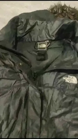 The North Face Puffer Jackets 10 pcs