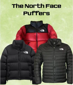 The North Face Puffers (500,600 series)-25 pieces