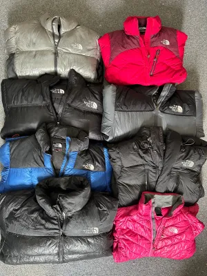 The northface puffer 700nuptse,800&900LTD-12pieces